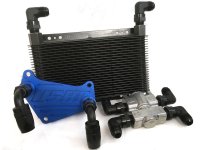 DSG "ICECAP" Cooling System (image for) DSG "ICECAP" Cooling System